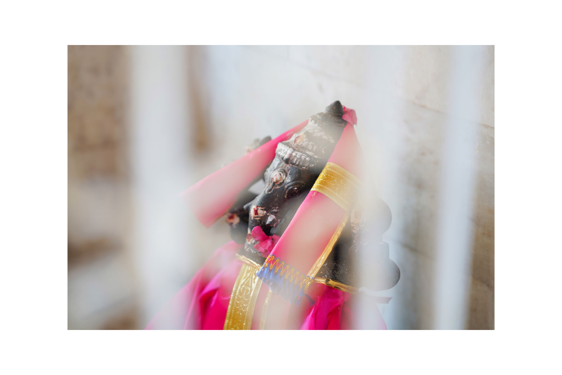 Saran & Nivisha image 7